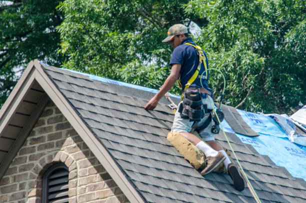 Quick and Trustworthy Emergency Roof Repair Services in Plant City, FL